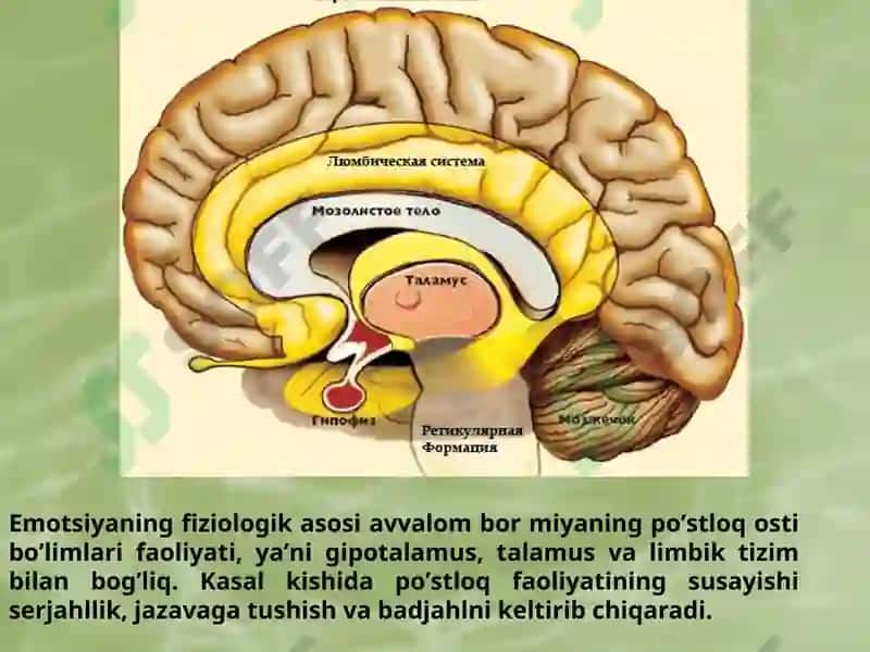 Emotsional holatlar 8