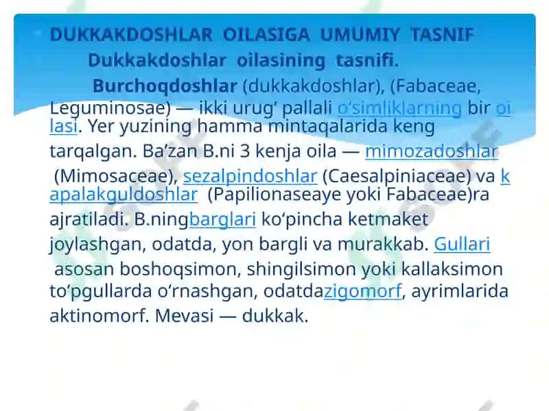 BURCHOQDOSHLAROILASI 8