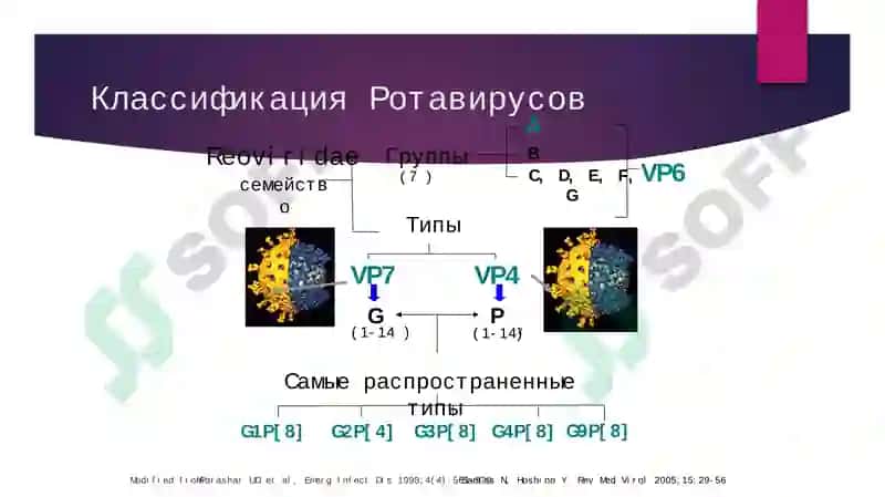 Вирусные диареи 8