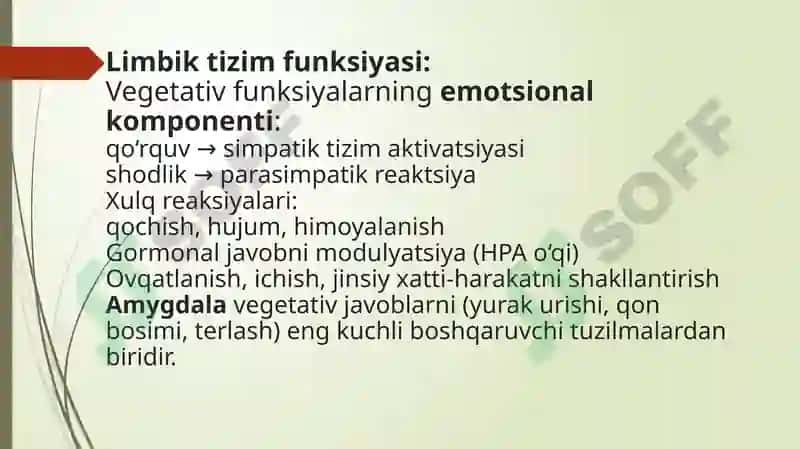 Vegetativ o‘liy markazlar va ularning funksional ahamiyati 8