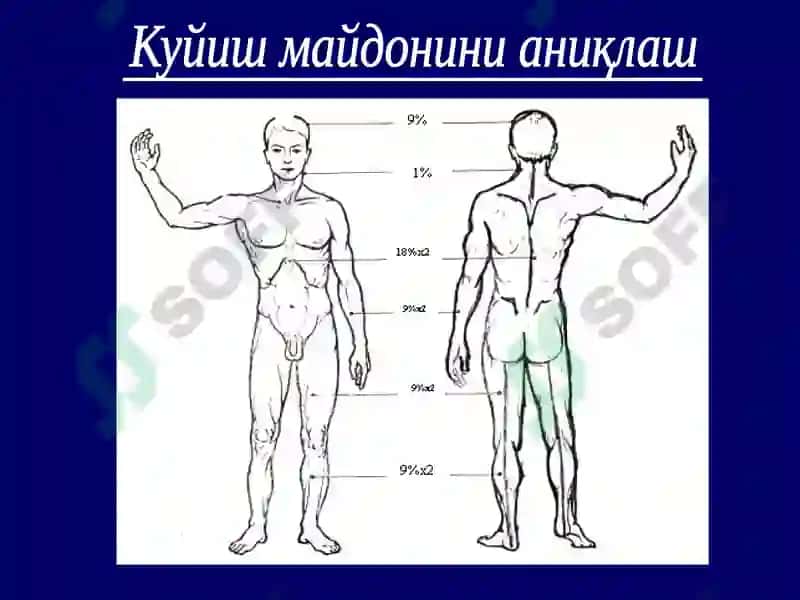 Суд-тиббий экспертиза 8