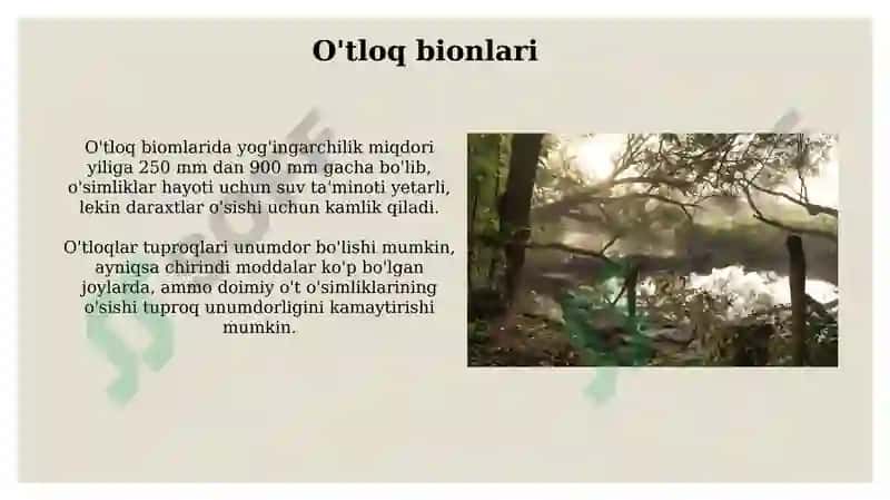 Quruqlik yuzasidagi bionlar 8
