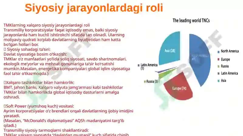 Transmilliy korporatsiyalar 8