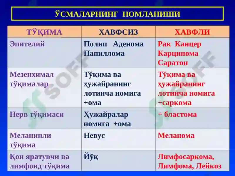 ПАТОЛОГИК АНАТОМИЯ 8