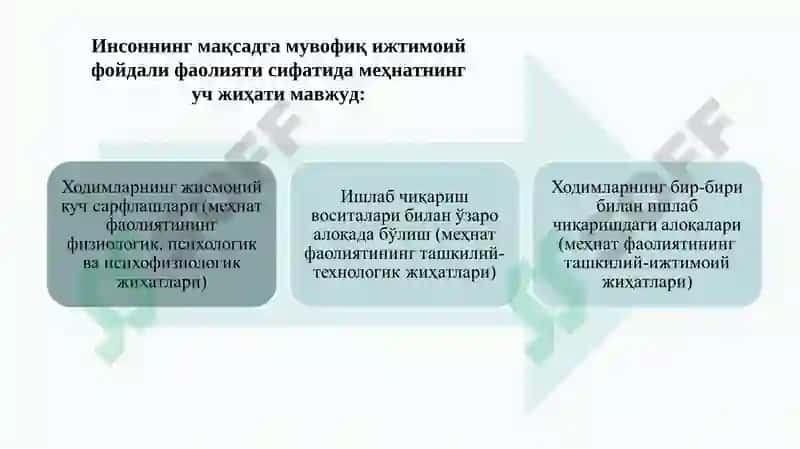 Меҳнат иқтисодиёти 8