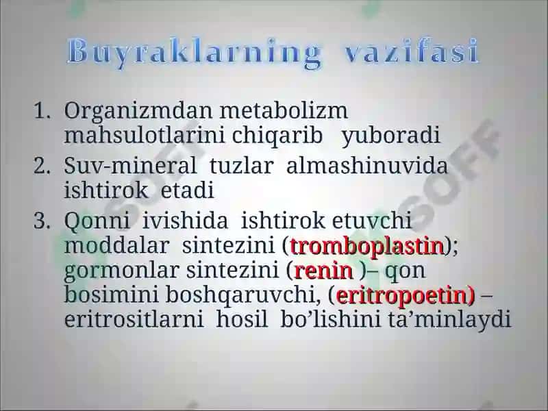Buyraklar 8