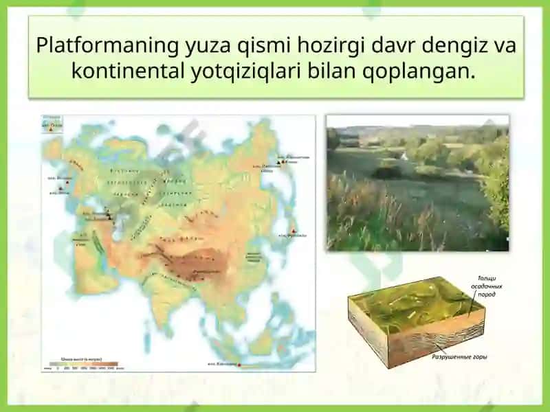 Atamalar vasavollar 8