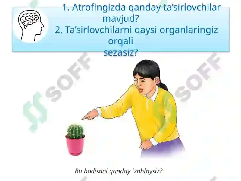 TIRIK ORGANIZMLARNING TA’SIRLANISHI 8