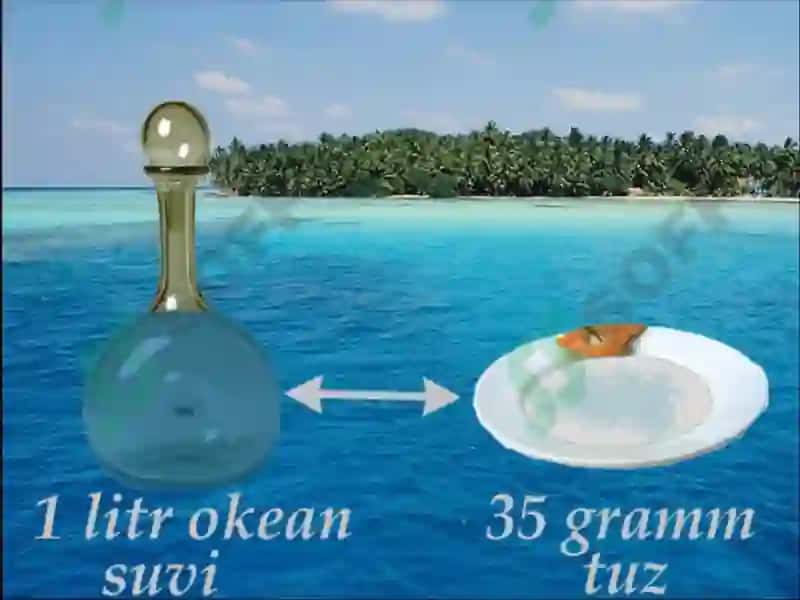 Okean suvining xususiyatlari 8