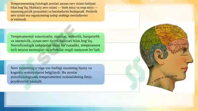 Temperament turlarining fiziologik asoslari 8