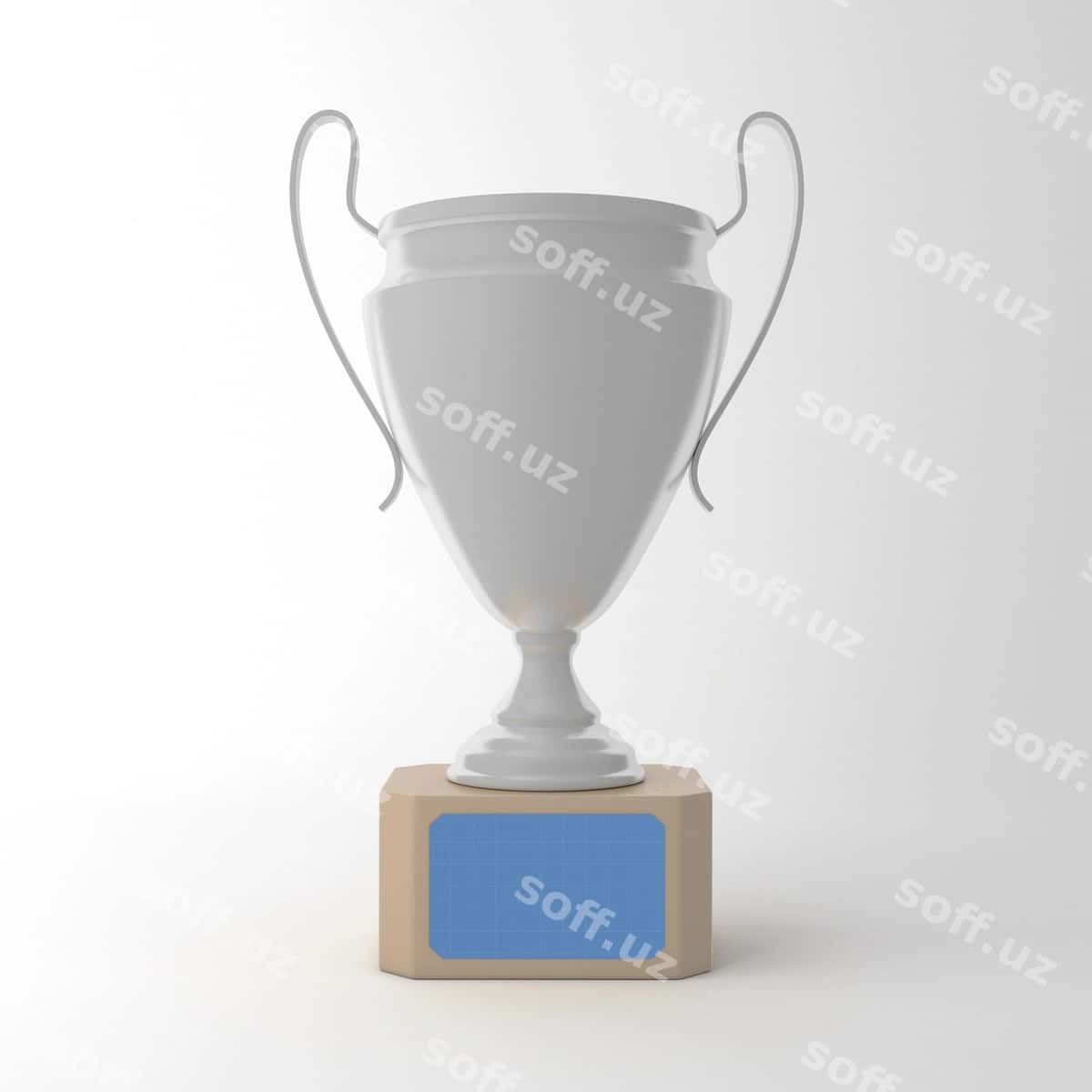 Sohibning old tomoni | Trophy front side 1