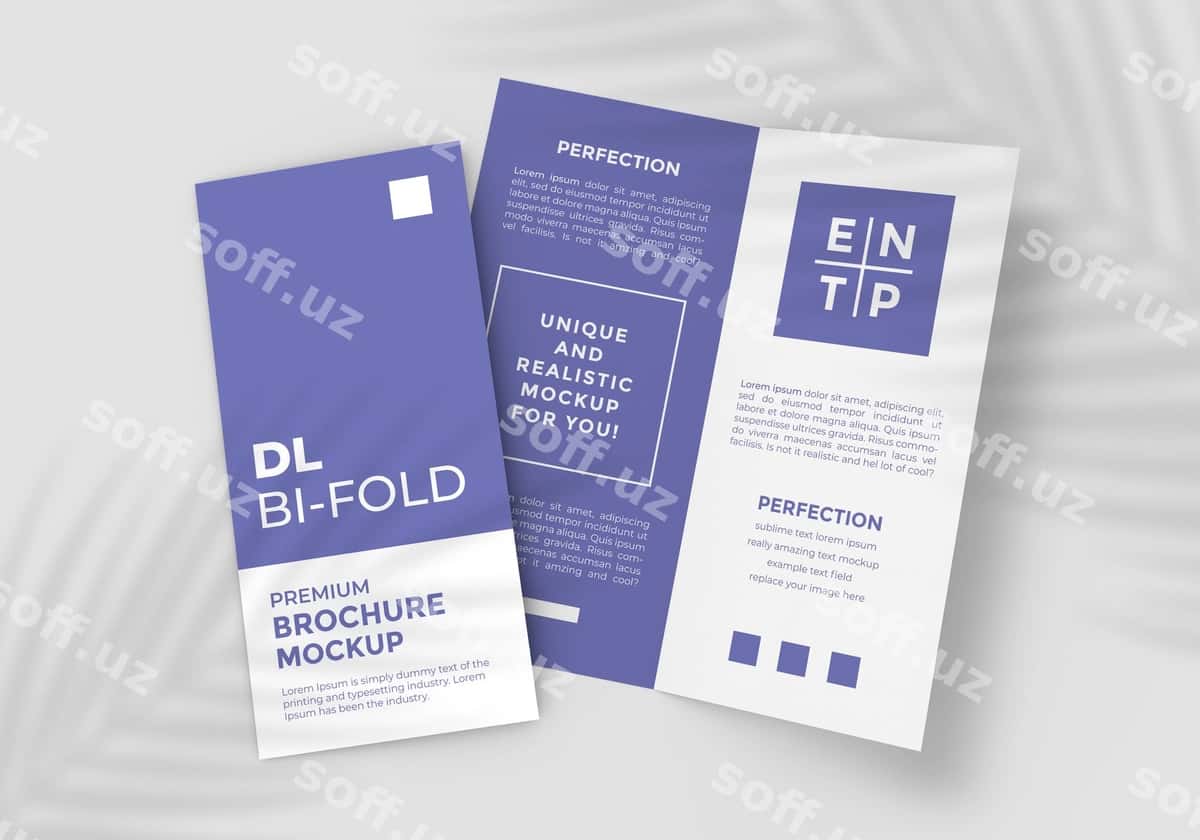 Ikki dl hajmdagi bitta qatlama broshyr namunasi | Two dl size bi fold brochure mockup 1