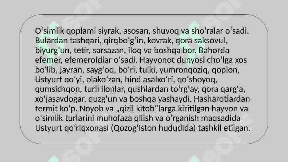 Ustyurt platosining o’simliklar olami 4