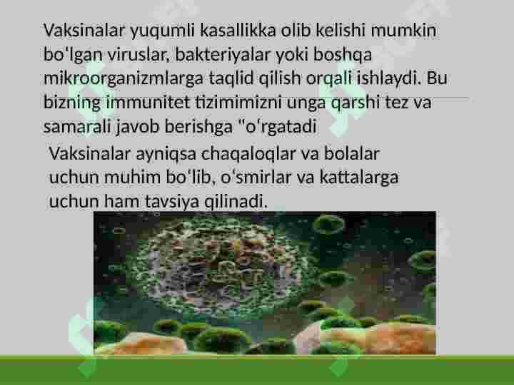 Viruslarga qarshi vaksinalar va ularning ishlab chiqishi 4