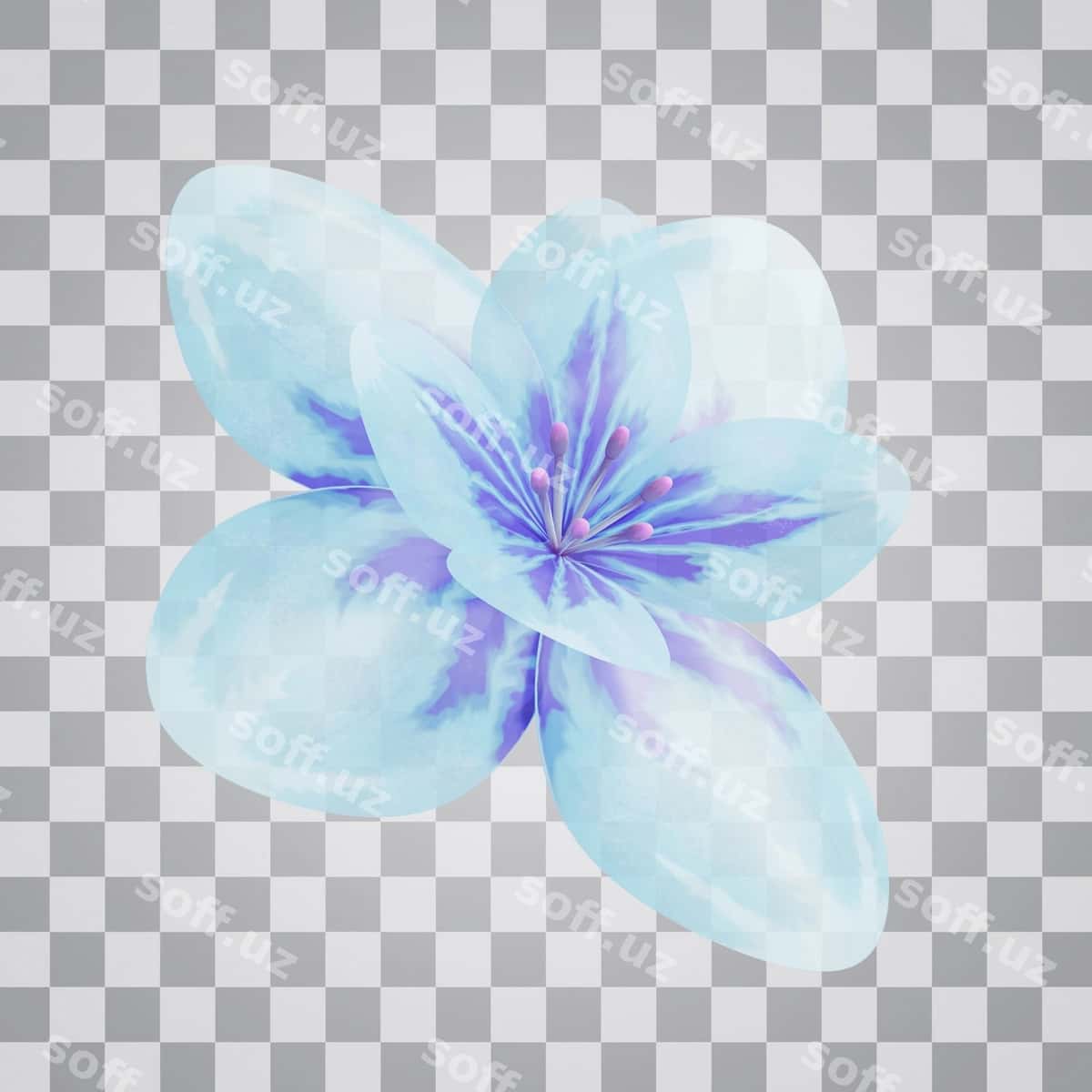 Violet gul alpha foni | Violet flower alpha background 1