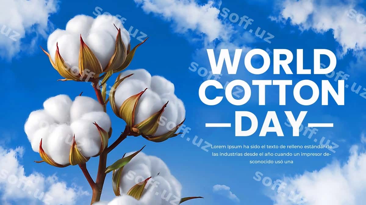 Dunyo paxta kuni baner-poster dizayni | World cotton day banner poster design 1
