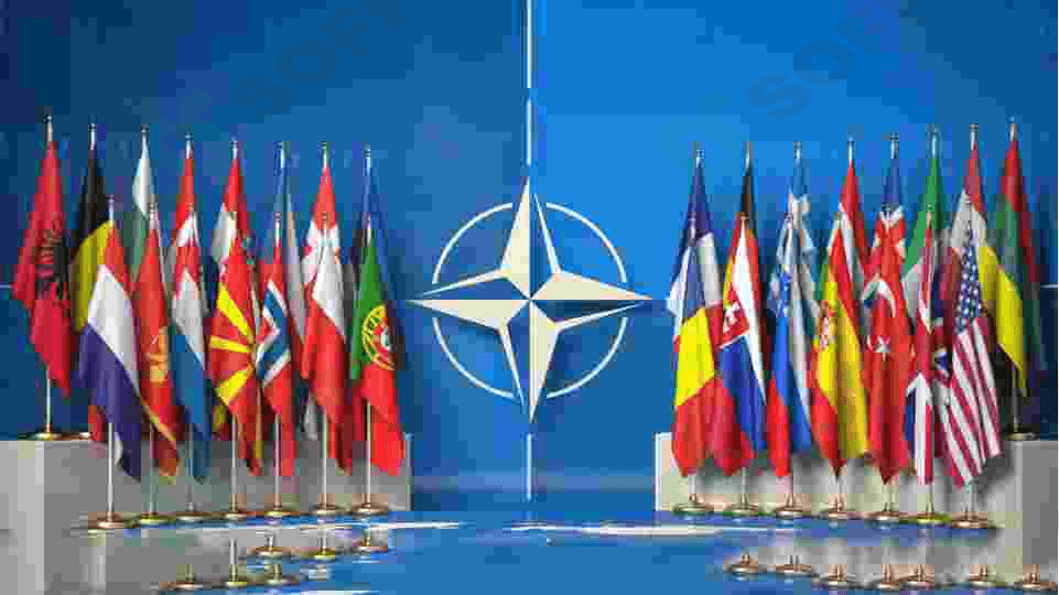 nato HARBIY SIYOSIY ITTIFOQI 5