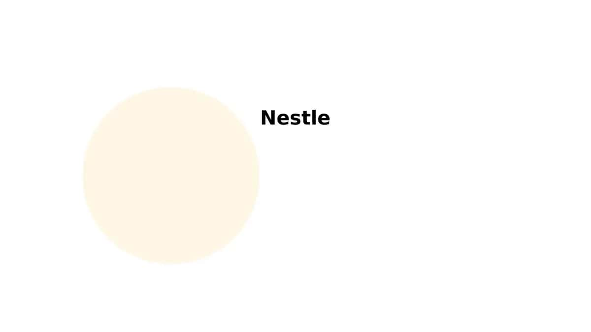 Nestle Kompaniyasi Taqdimoti