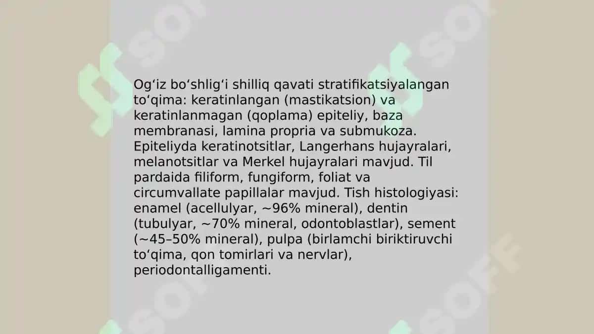 Ovqat hazm qilish gistalogiyasi 4