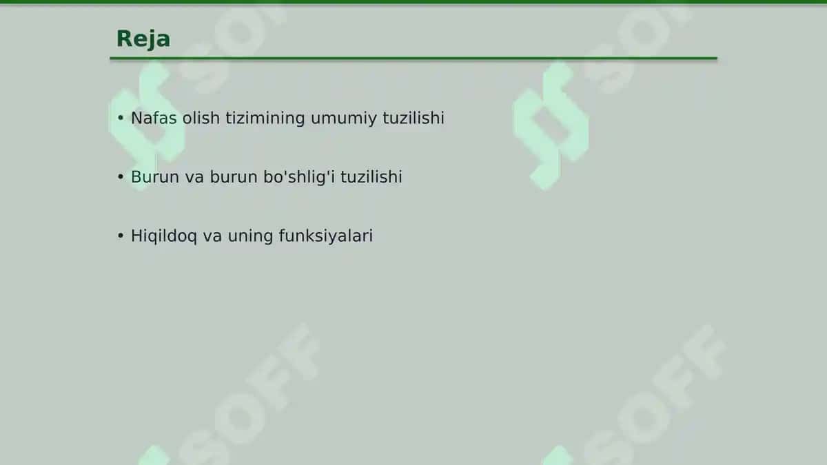 Nafas olish a'zolari topografiyasi 2