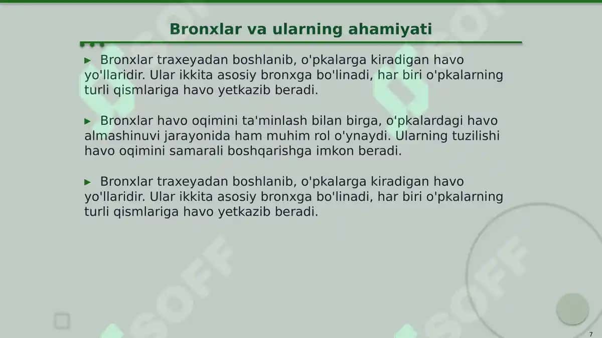 Nafas olish a'zolari topografiyasi 7
