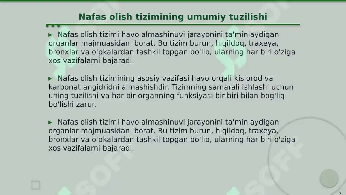 Nafas olish a'zolari topografiyasi 3