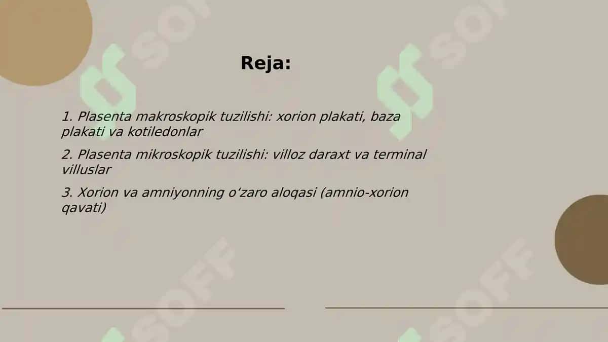Plasenta va kindik ichki tuzulishi 2