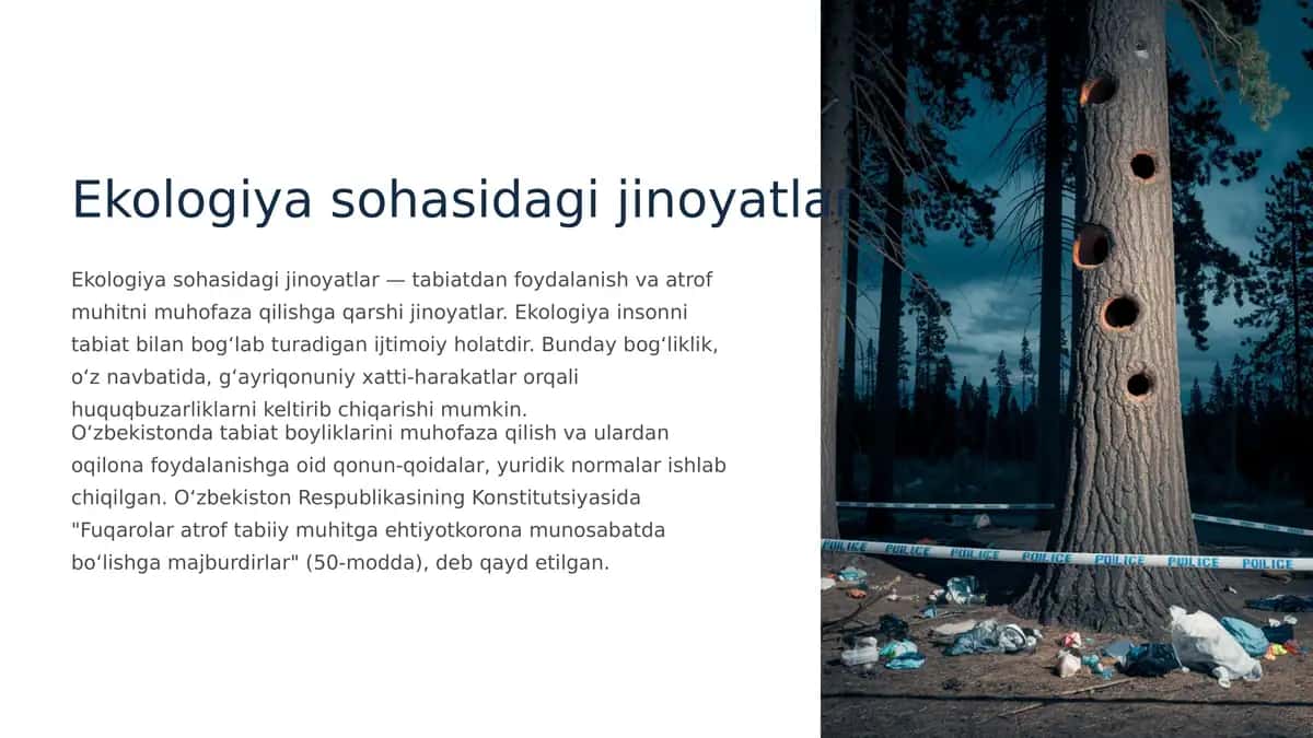 Ekologiya sohasidagi jinoyatlar