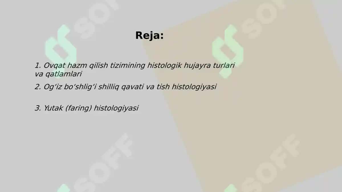 Ovqat hazm qilish gistalogiyasi 2