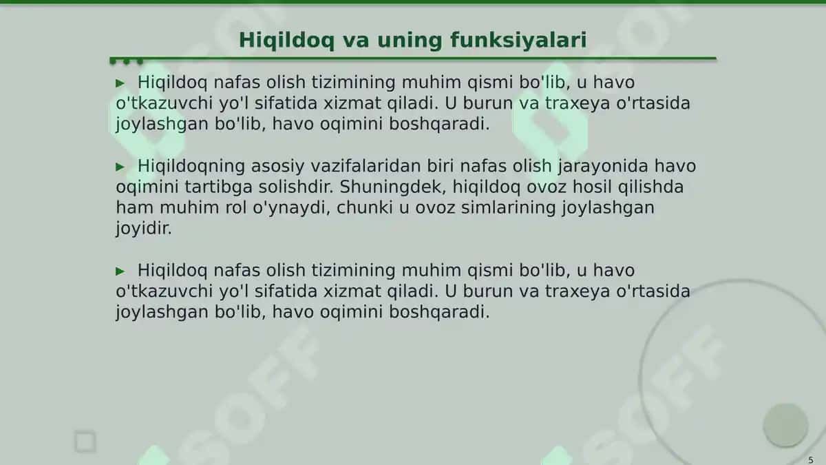 Nafas olish a'zolari topografiyasi 5
