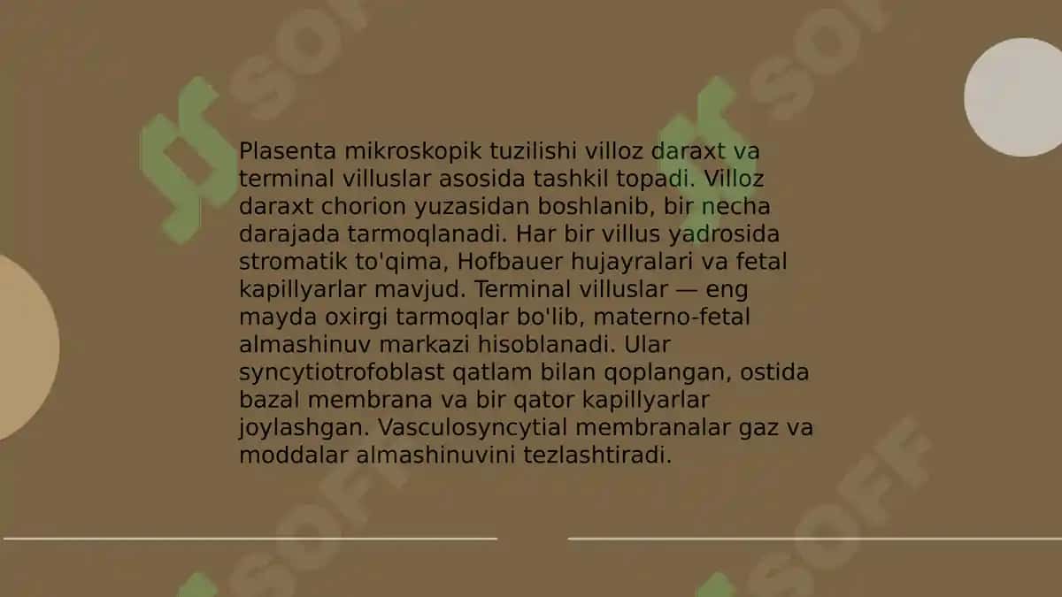 Plasenta va kindik ichki tuzulishi 4