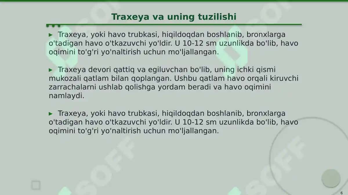 Nafas olish a'zolari topografiyasi 6