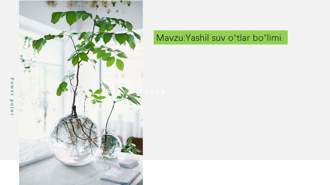 Yashil suv oʻtlar boʻlimi