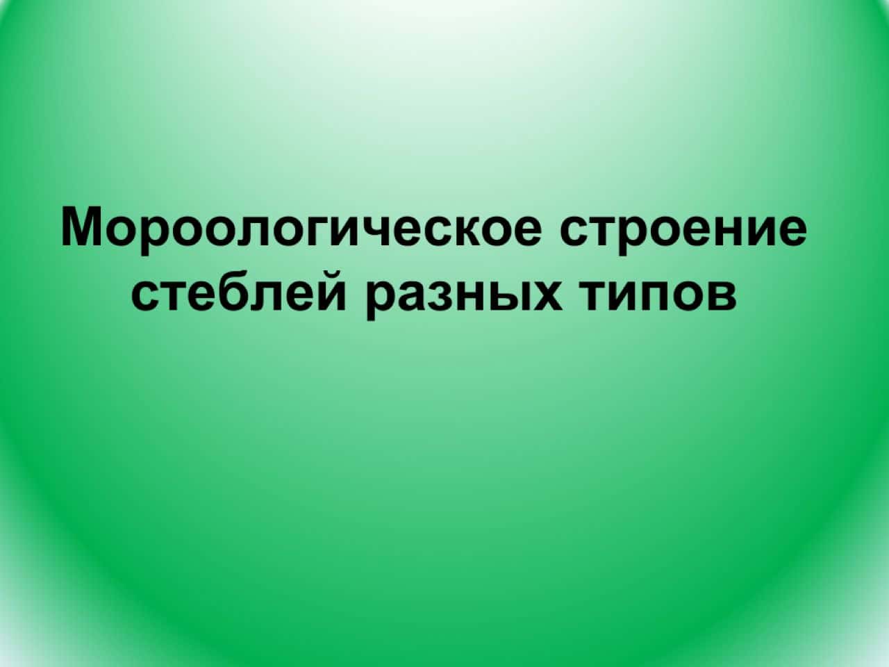 Mороологическое строение стеблей разныx типов