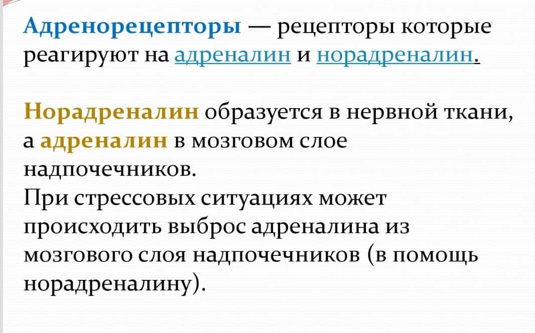 Средства, действующие на адренергические синапсы