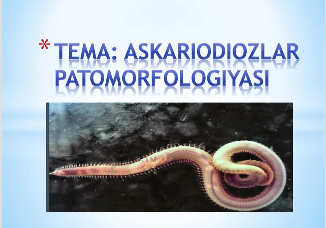 Sinfdan va maktabdan tashqari tarbiyaviy ishlarni rejalashtirish metodikasi