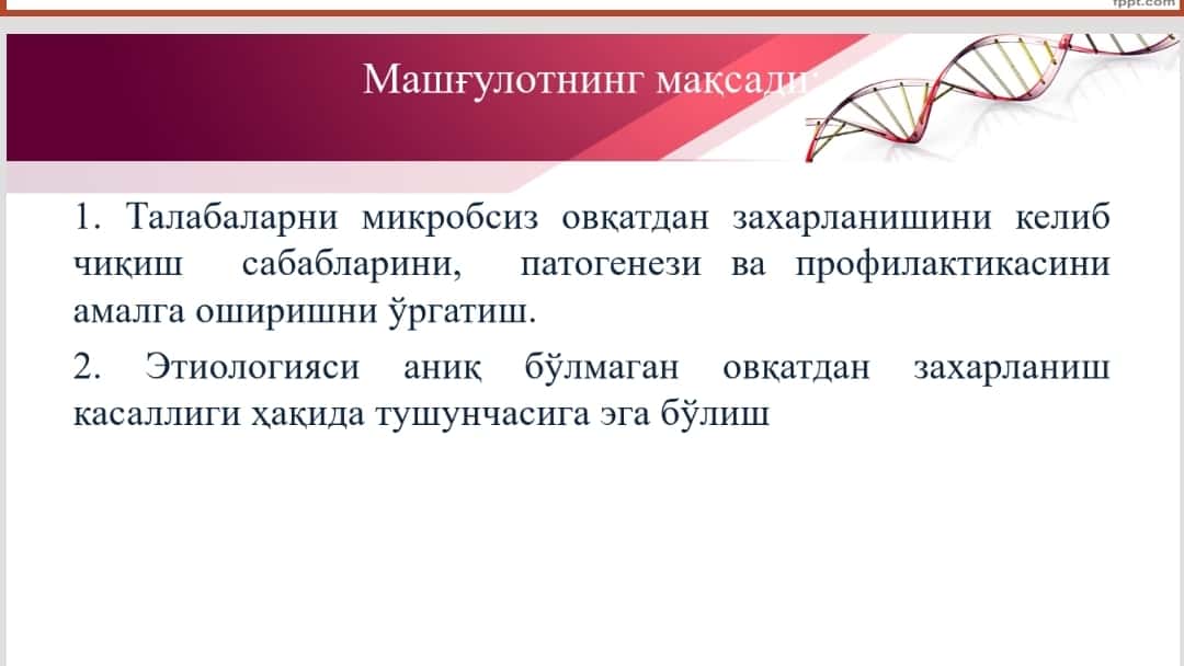 Урок обобщающего вида при изучении литературы в старших классах