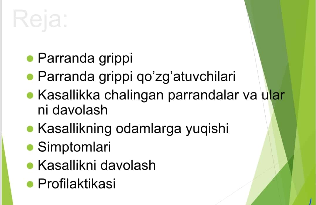 Parranda grippi va cho`chqa grippi