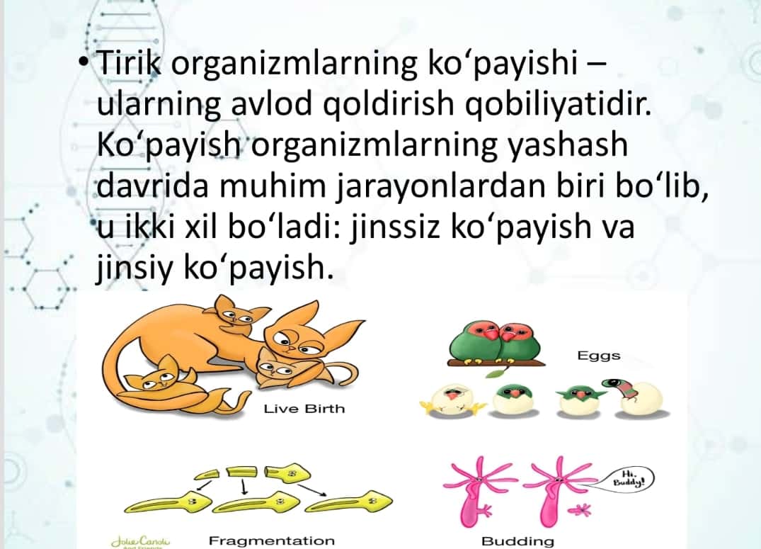 Tirik organizmlarning ko‘payish xillari