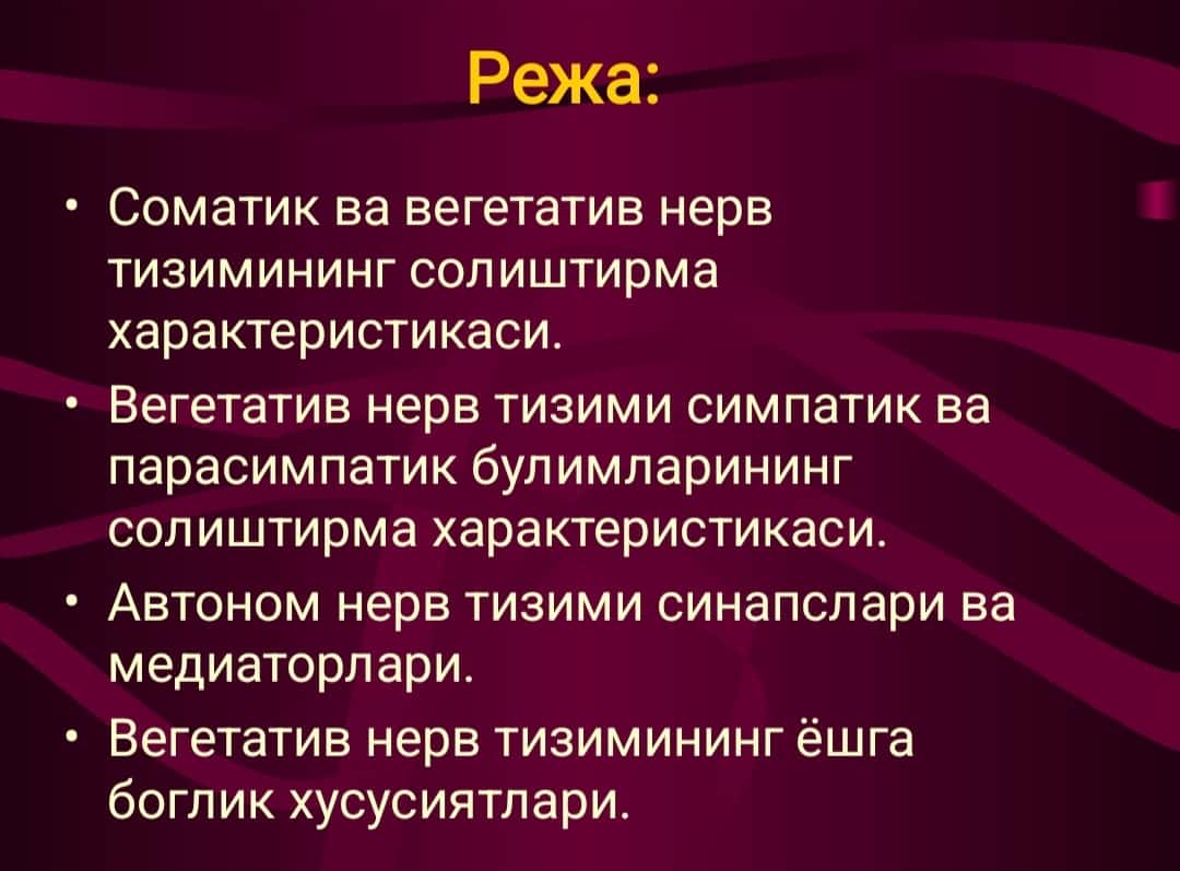 Vegetativ nerv sistemasi