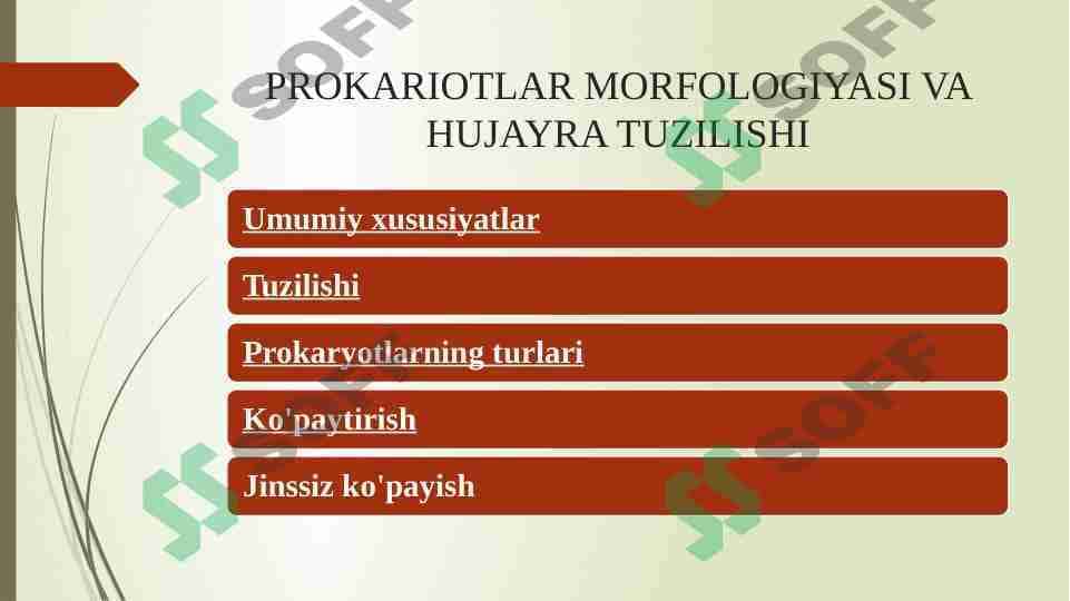 PROKARIOTLAR MORFOLOGIYASI VA HUJAYRA TUZILISHI