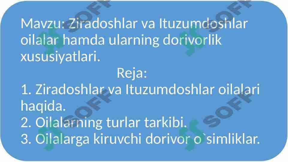Ziradoshlar va Ituzumdoshlar oilalar hamda ularning dorivorlik xususiyatlari.