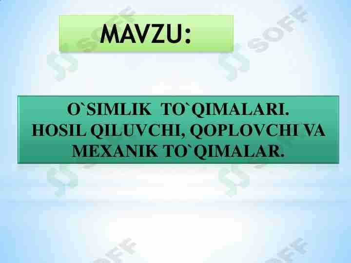 Oʻsimliklar Toʻqimalari