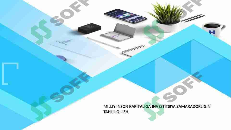 MILLIY INSON KAPITALIGA INVESTITSIYA SAMARADORLIGINI TAHLIL QILISH