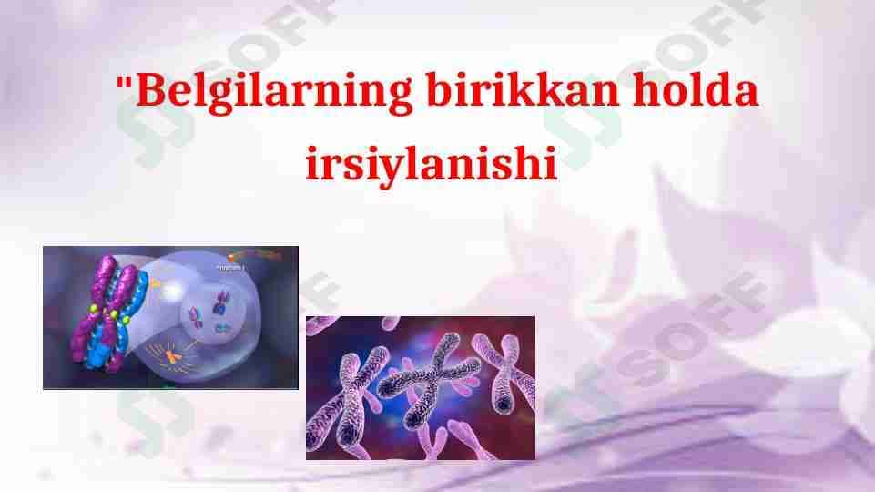 Belgilarning birikkan holda irsiylanishi