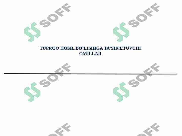 Tuproq hosil bo'lishiga ta'sir etuvchi omillar