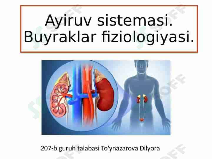 Fiziologiya buyrak 2