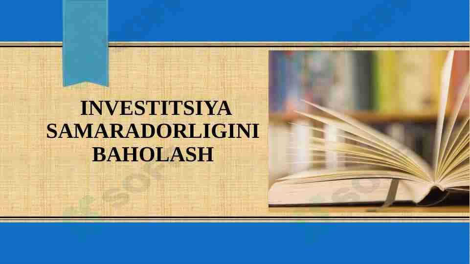 Investitsiya samaradorligini baholash