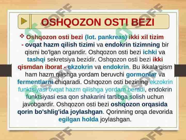OSHQOZON OSTI BEZI - me'da osti bezi