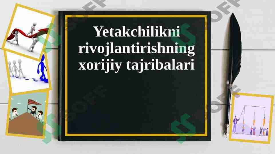 Yetakchilikning rivojlantishishning xorijiy tajribalari